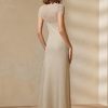 Beige Women’s Ralph Lauren Mesh Short-Sleeve Evening Dress